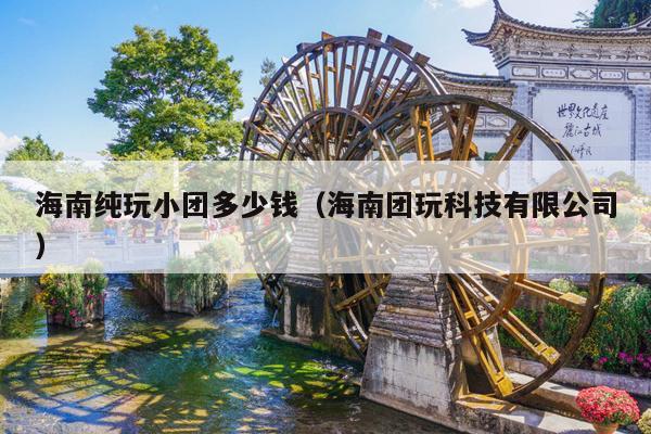 海南纯玩小团多少钱（海南团玩科技有限公司）
