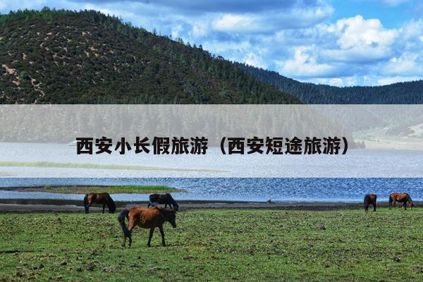 西安小长假旅游（西安短途旅游）