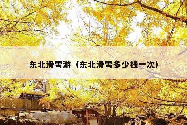 东北滑雪游（东北滑雪多少钱一次）