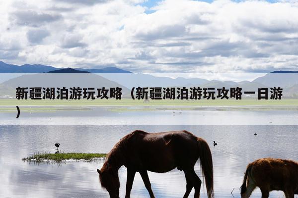 新疆湖泊游玩攻略（新疆湖泊游玩攻略一日游）