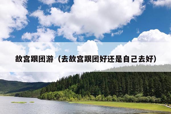 故宫跟团游（去故宫跟团好还是自己去好）