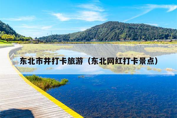 东北市井打卡旅游（东北网红打卡景点）
