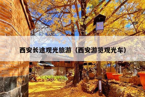 西安长途观光旅游（西安游览观光车）