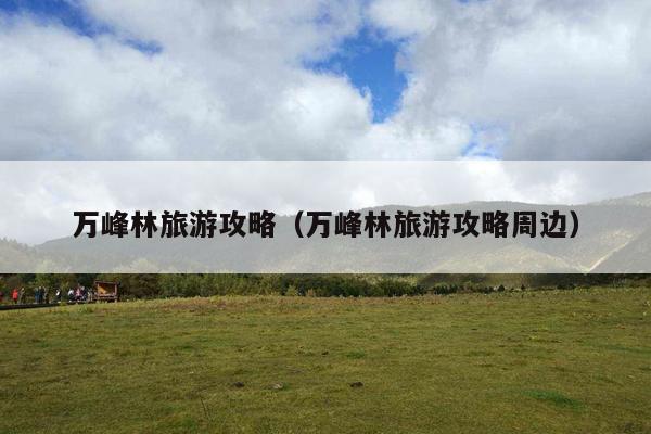 万峰林旅游攻略（万峰林旅游攻略周边）