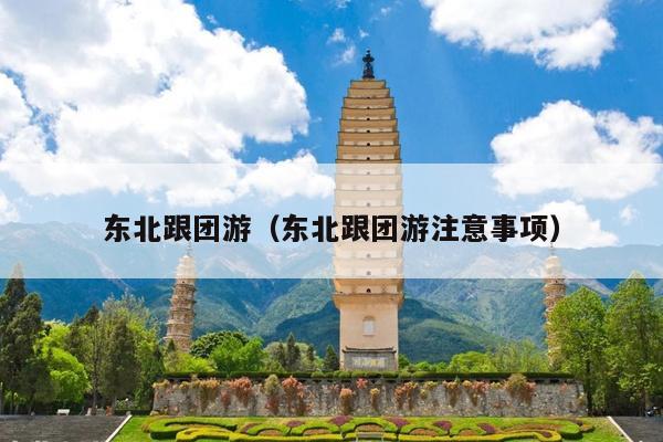 东北跟团游（东北跟团游注意事项）