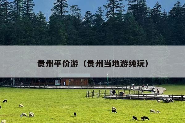 贵州平价游（贵州当地游纯玩）