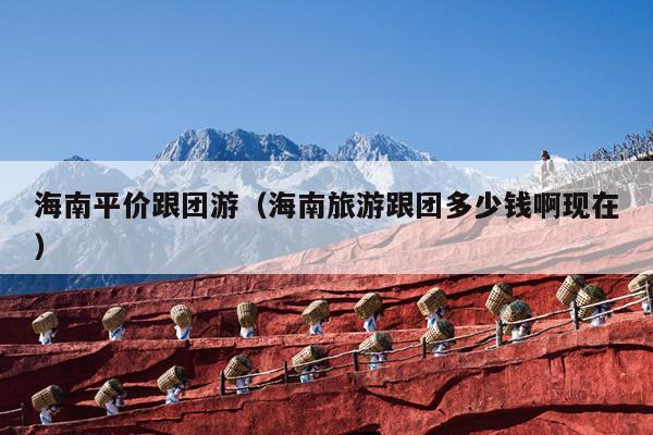 海南平价跟团游（海南旅游跟团多少钱啊现在）