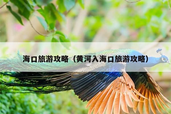 海口旅游攻略（黄河入海口旅游攻略）