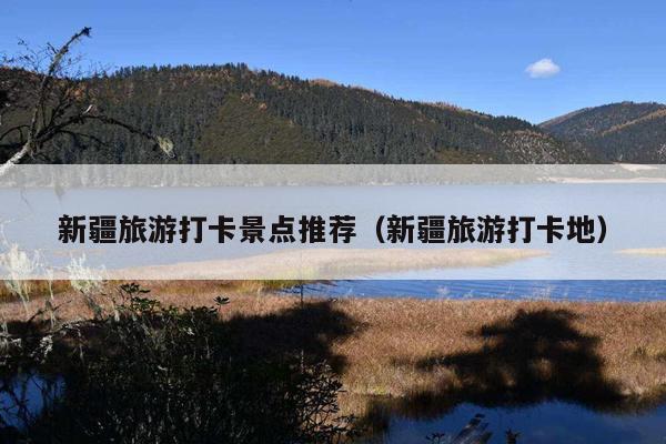 新疆旅游打卡景点推荐（新疆旅游打卡地）