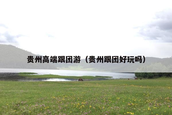 贵州高端跟团游（贵州跟团好玩吗）