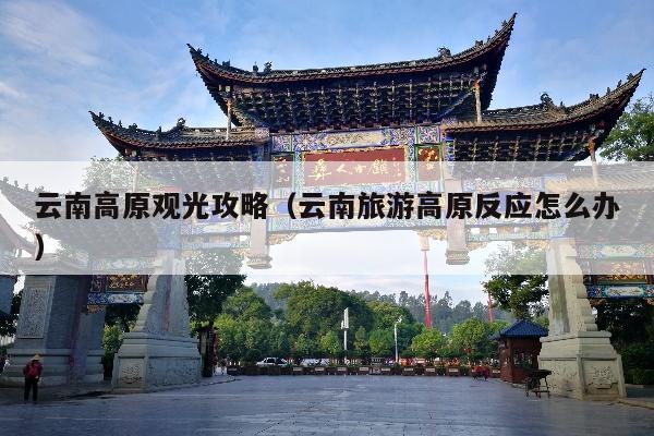 云南高原观光攻略（云南旅游高原反应怎么办）