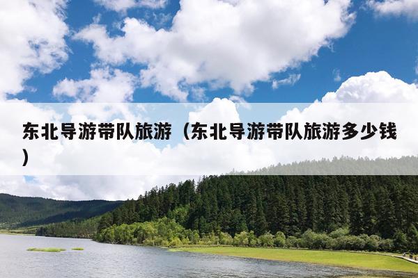 东北导游带队旅游（东北导游带队旅游多少钱）