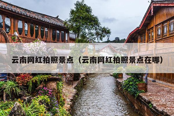 云南网红拍照景点（云南网红拍照景点在哪）