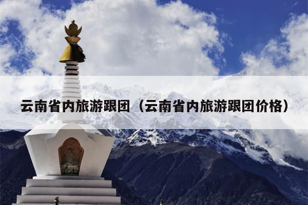 云南省内旅游跟团（云南省内旅游跟团价格）
