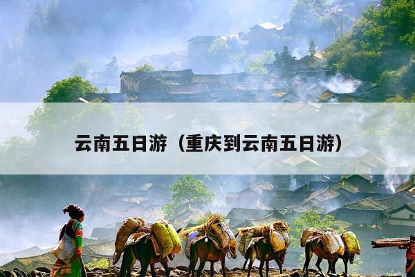 云南五日游（重庆到云南五日游）