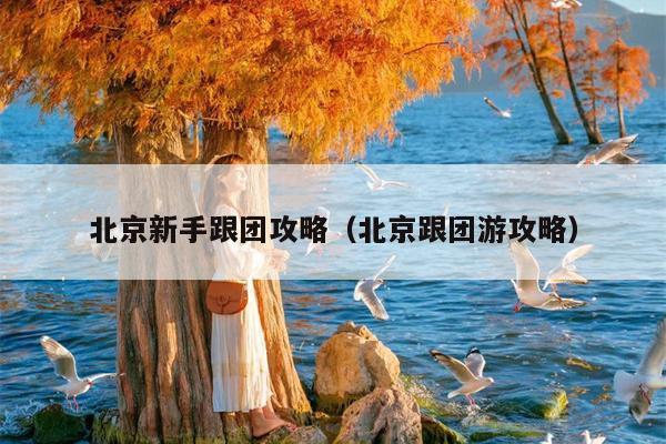 北京新手跟团攻略（北京跟团游攻略）