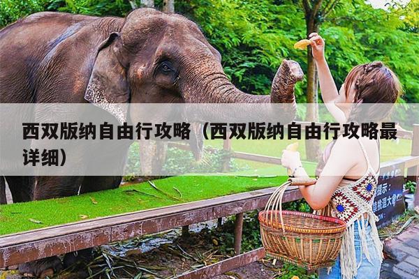西双版纳自由行攻略（西双版纳自由行攻略最详细）