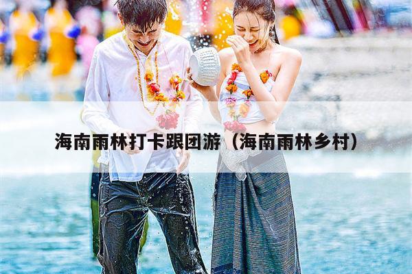 海南雨林打卡跟团游（海南雨林乡村）
