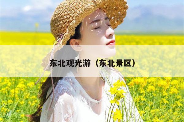 东北观光游（东北景区）