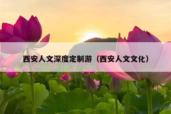 西安人文深度定制游（西安人文文化）
