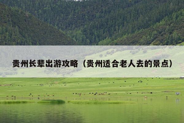 贵州长辈出游攻略（贵州适合老人去的景点）