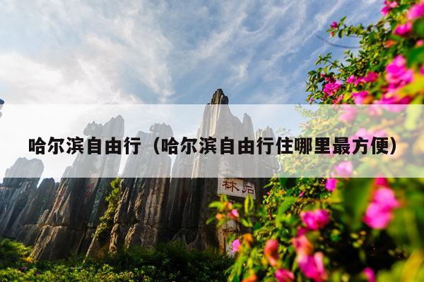 哈尔滨自由行（哈尔滨自由行住哪里最方便）