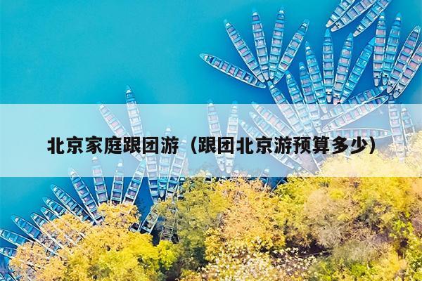 北京家庭跟团游（跟团北京游预算多少）