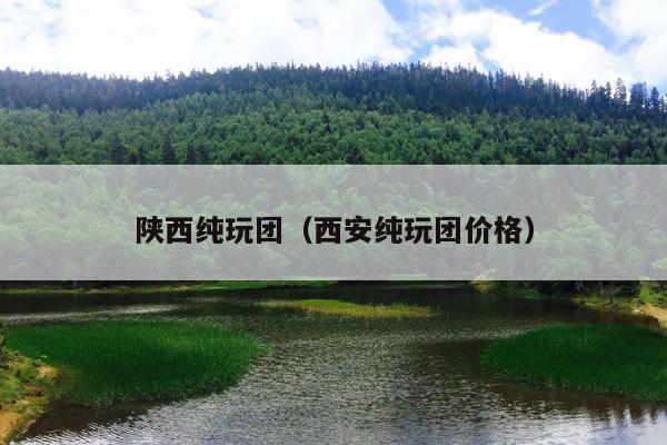 陕西纯玩团（西安纯玩团价格）