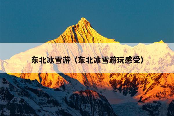 东北冰雪游（东北冰雪游玩感受）