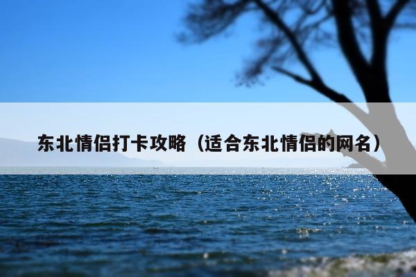 东北情侣打卡攻略（适合东北情侣的网名）