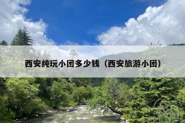 西安纯玩小团多少钱（西安旅游小团）