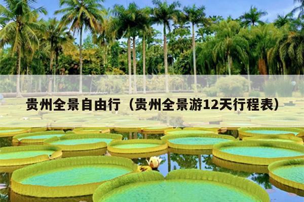 贵州全景自由行（贵州全景游12天行程表）