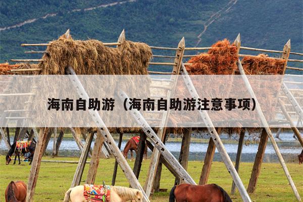 海南自助游（海南自助游注意事项）
