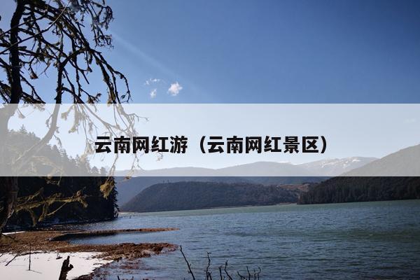 云南网红游（云南网红景区）