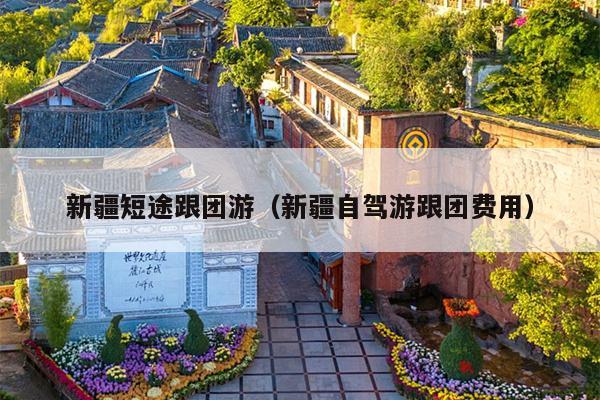 新疆短途跟团游（新疆自驾游跟团费用）