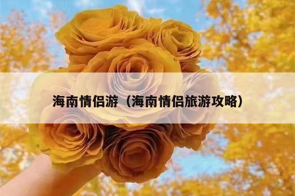 海南情侣游（海南情侣旅游攻略）
