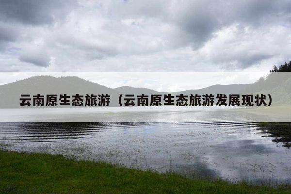 云南原生态旅游（云南原生态旅游发展现状）