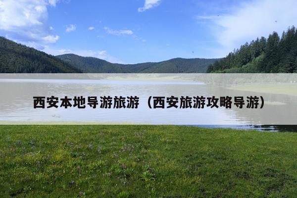 西安本地导游旅游（西安旅游攻略导游）