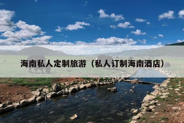 海南私人定制旅游（私人订制海南酒店）