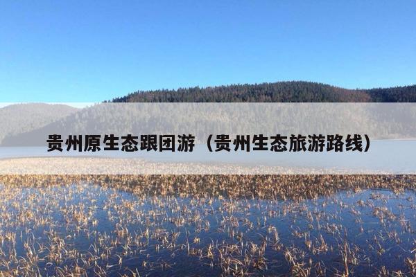 贵州原生态跟团游（贵州生态旅游路线）