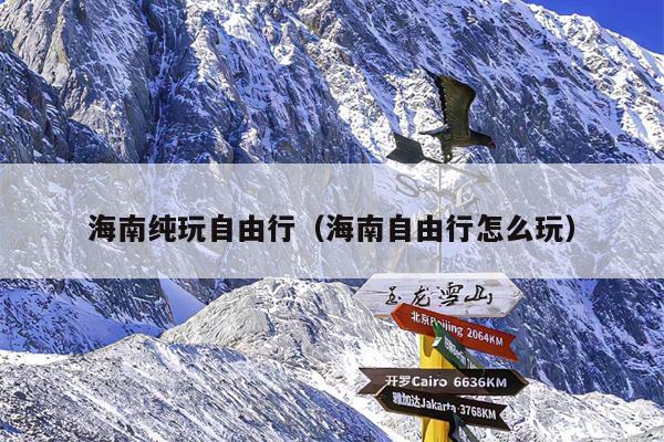 海南纯玩自由行（海南自由行怎么玩）