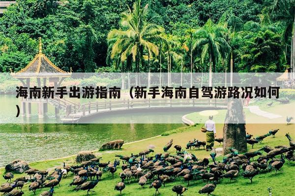 海南新手出游指南（新手海南自驾游路况如何）