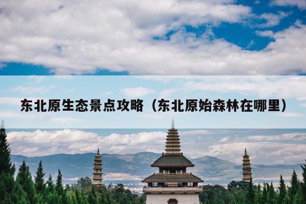 东北原生态景点攻略（东北原始森林在哪里）