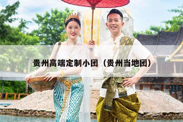 贵州高端定制小团（贵州当地团）