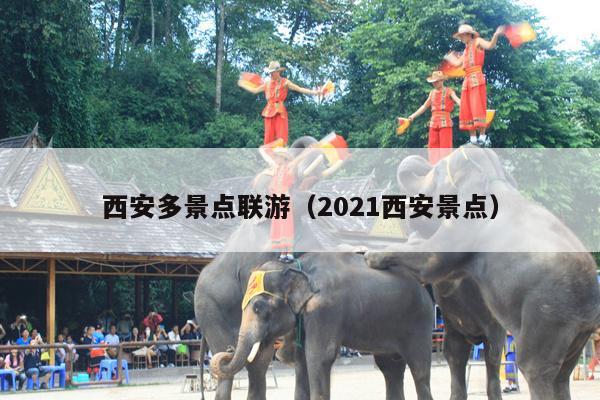 西安多景点联游（2021西安景点）