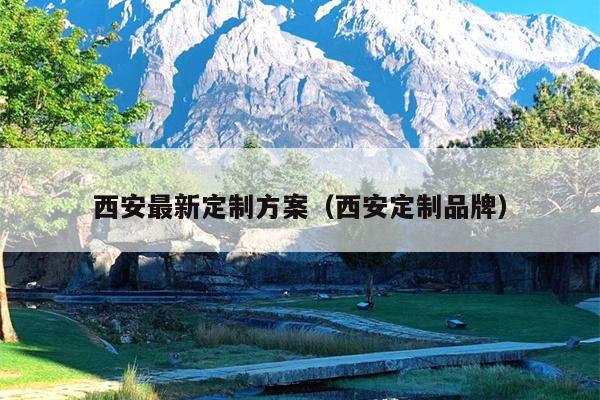 西安最新定制方案（西安定制品牌）