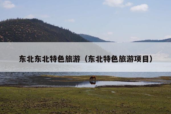 东北东北特色旅游（东北特色旅游项目）