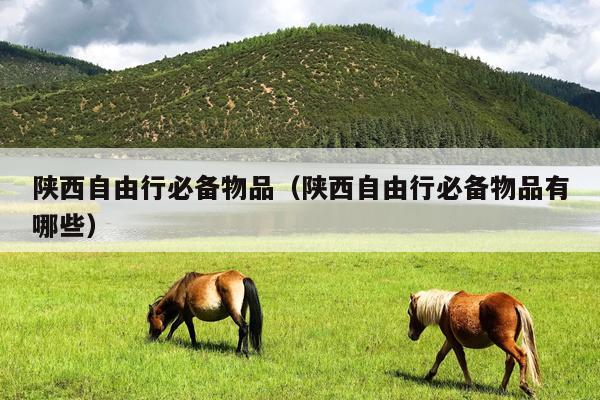 陕西自由行必备物品（陕西自由行必备物品有哪些）