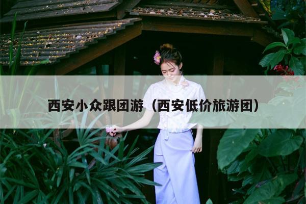 西安小众跟团游（西安低价旅游团）