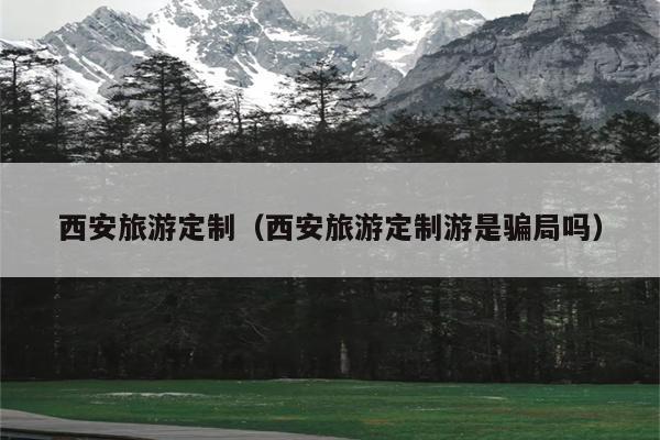 西安旅游定制（西安旅游定制游是骗局吗）